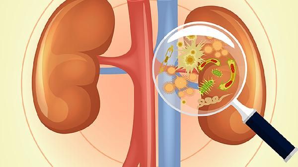 补肾食疗的办法是什么 补肾食疗的方法