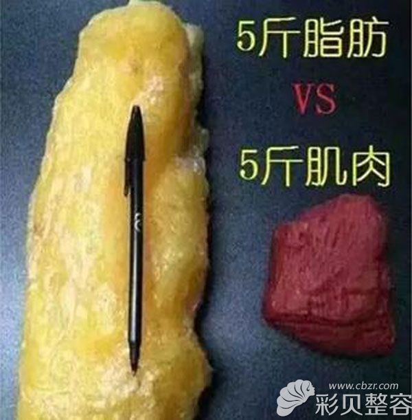 5斤脂肪和5斤肌肉体积大小对比图