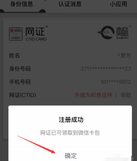 电子身份证可以代替身份证使用吗