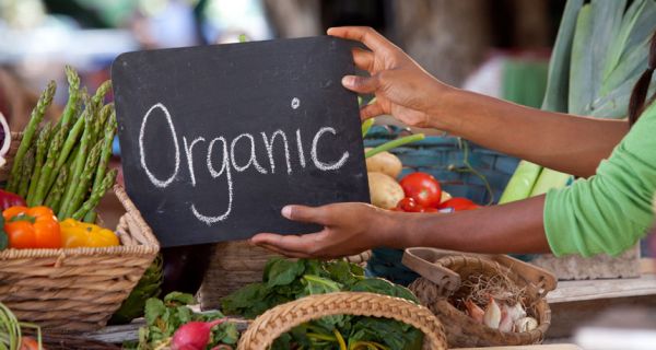 Organic-Products-for-Live-Sustainable-Life
