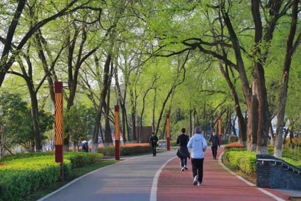 冬天和夏天，什么时候运动更容易减肥？答案出乎意料！