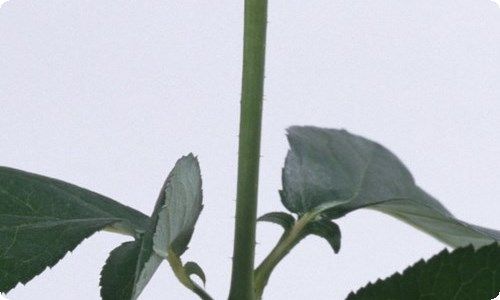 心理健康教育心得体会15篇