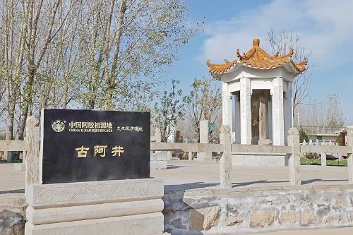 福胶集团总裁杨铧：以泉为脉守非遗 以创新传健康薪火