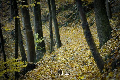 1. 前言