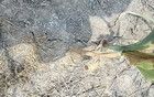 河南駐馬店，人們與干旱爭奪“糧倉”