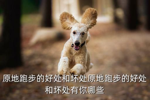原地跑步的好处和坏处原地跑步的好处和坏处有你哪些