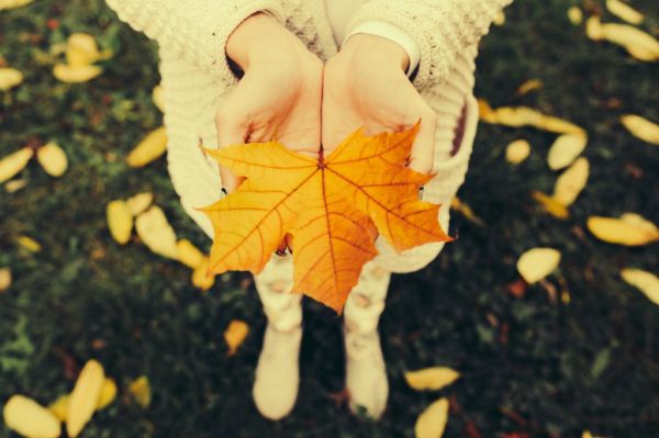 三伏天和秋老虎哪个更热 防暑降温的应对策略