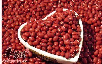 一起看看红豆的食用注意事项