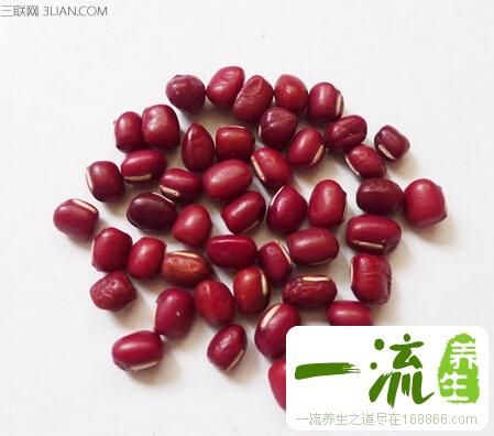 红豆有什么营养功效