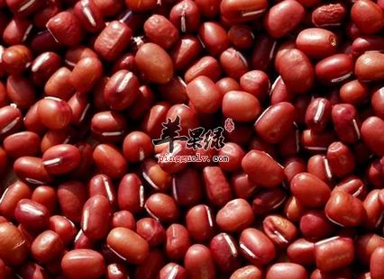红豆养生美颜食谱这样做 排毒瘦身防病