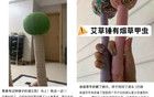 头皮发麻！家里一发现请立刻扔掉！