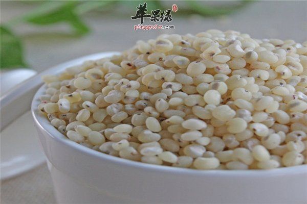 高粱米糕口感香甜糖尿病禁食