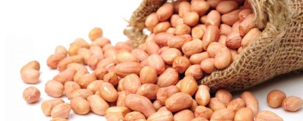 寒露到了吃什么传统食物 寒露养生注意事项 什么是花糕