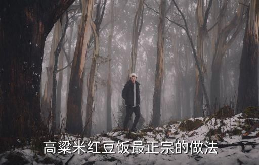  高粱米红豆饭最正宗的做法