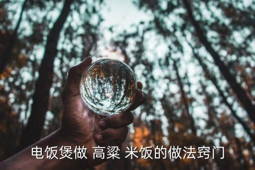 电饭煲做 高粱 米饭的做法窍门