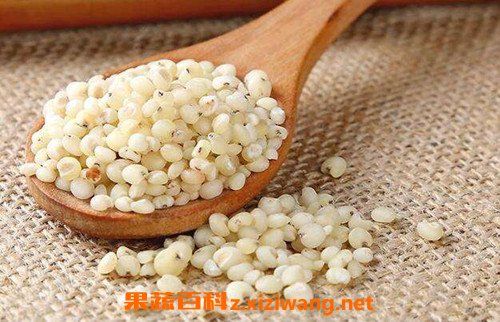 高粱米怎么吃 高粱米怎么吃煮干饭