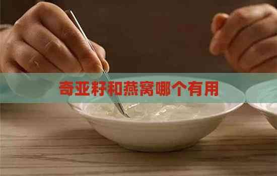 奇亚籽和燕窝哪个有用