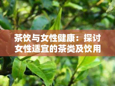 茶饮与女性健康：探讨女性适宜的茶类及饮用量