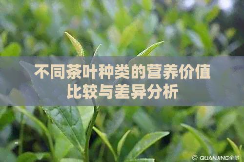 不同茶叶种类的营养价值比较与差异分析
