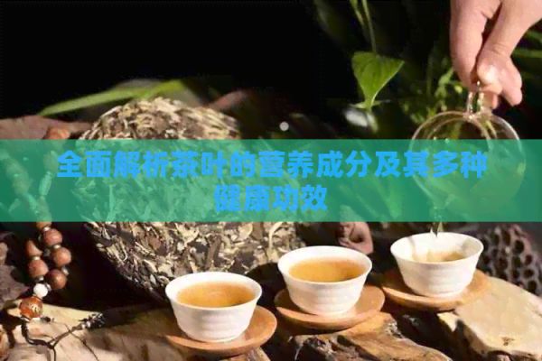全面解析茶叶的营养成分及其多种健康功效