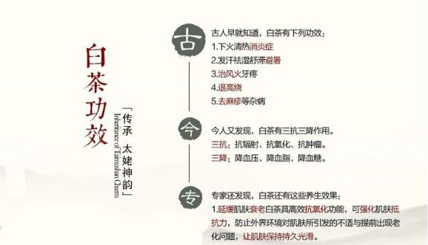 探讨福鼎白茶的营养成分及保健作用