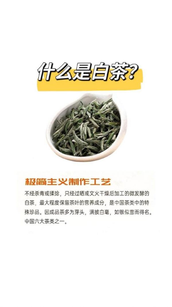 探讨福鼎白茶的营养成分及保健作用