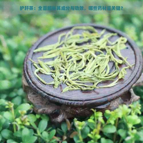 护肝茶：全面解析其成分与功效，哪些药材是关键？