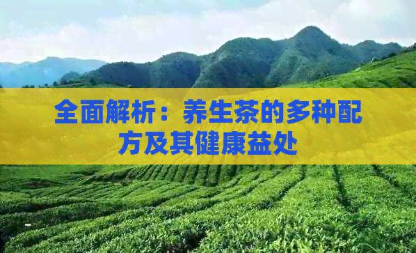全面解析：养生茶的多种配方及其健康益处