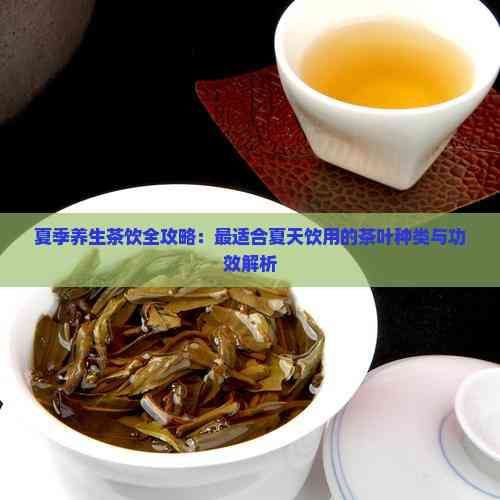 夏季养生茶饮全攻略：最适合夏天饮用的茶叶种类与功效解析