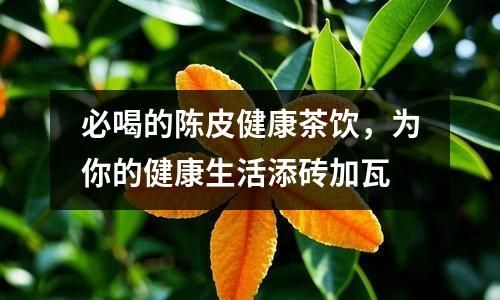必喝的陈皮健康茶饮，为你的健康生活添砖加瓦