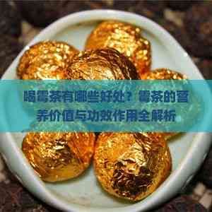 喝霉茶有哪些好处？霉茶的营养价值与功效作用全解析