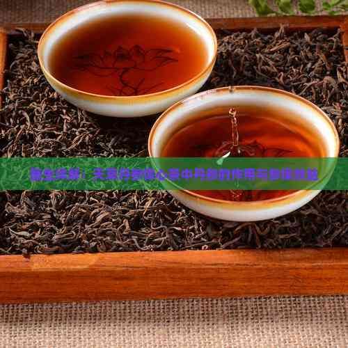 医生详解：天草丹参保心茶中丹参的作用与参保效益