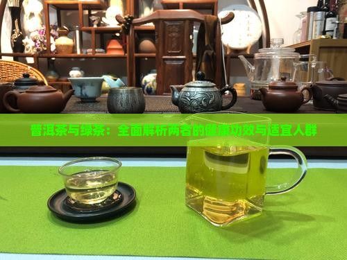普洱茶与绿茶：全面解析两者的健康功效与适宜人群