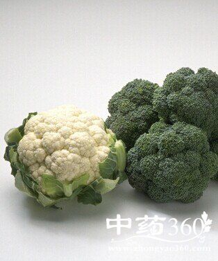 儿童食谱,对孩子健康有益的六大食物