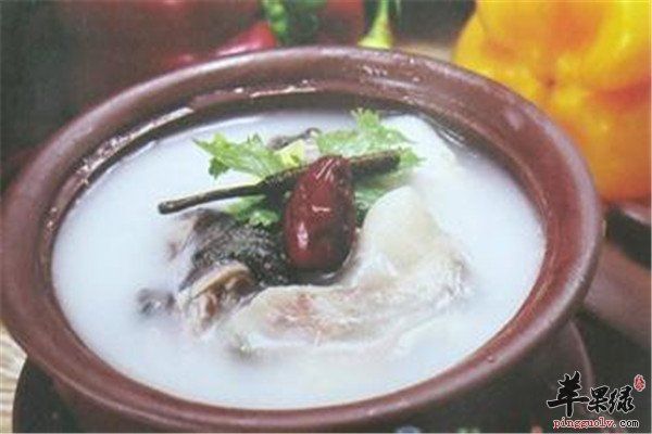 甲鱼红枣粥.jpg