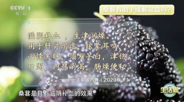 春天吃它，让你气血足、睡得好、不显老～叶子也是宝，血压血糖都受益