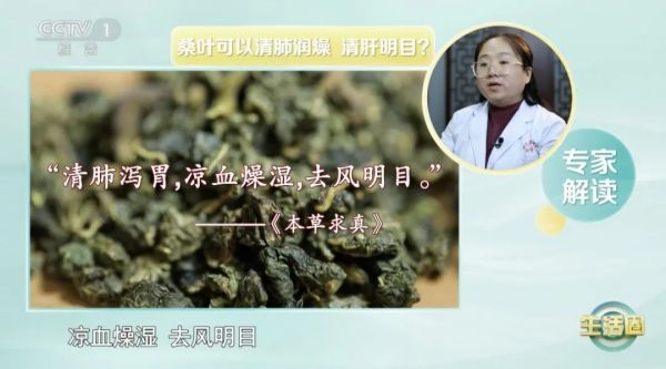 春天吃它，让你气血足、睡得好、不显老～叶子也是宝，血压血糖都受益