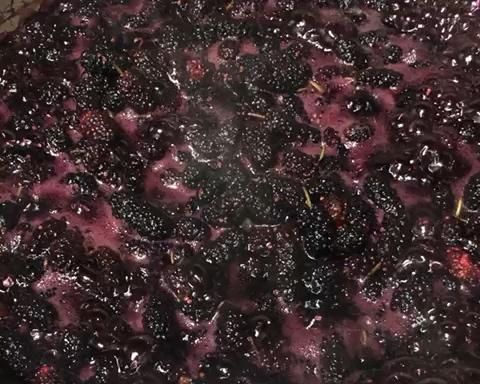 无添加-健康-桑果酱的做法