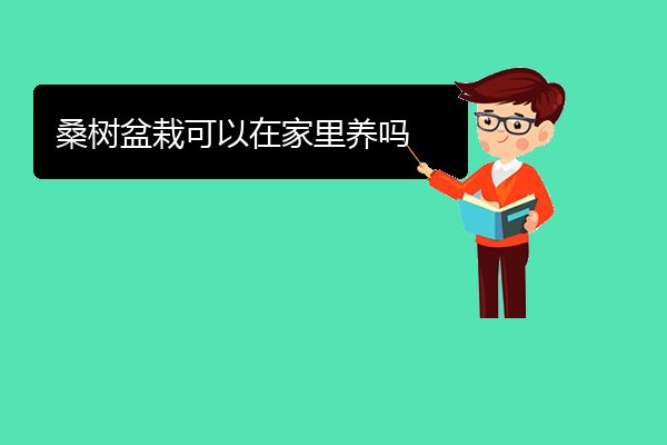 桑树盆栽可以在家里养吗
