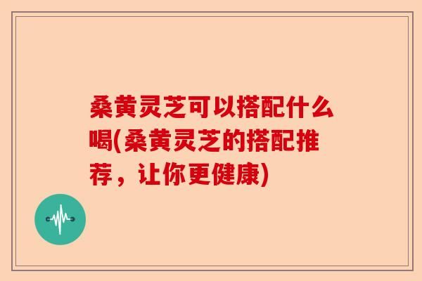 桑黄灵芝可以搭配什么喝(桑黄灵芝的搭配推荐，让你更健康)-第1张图片-卓越灵芝孢子粉