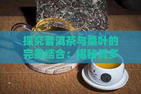 探究普洱茶与桑叶的完美结合：揭秘其多重健康功效与适用人群