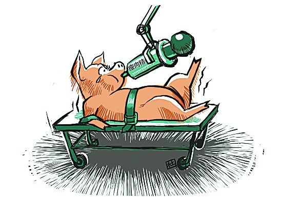 如何鉴别猪肉含瘦肉精