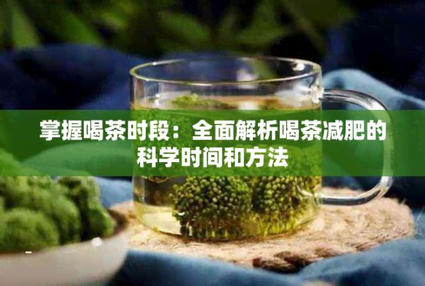 掌握喝茶时段：全面解析喝茶减肥的科学时间和方法
