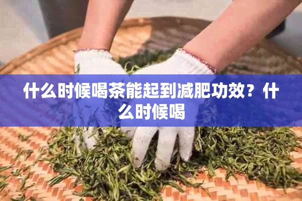 什么时候喝茶能起到减肥功效？什么时候喝