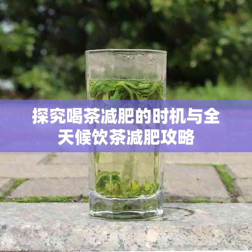 探究喝茶减肥的时机与全天候饮茶减肥攻略