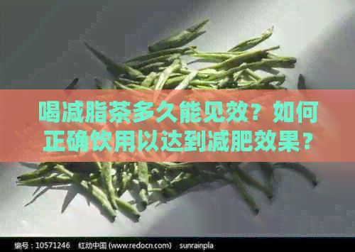 喝减脂茶多久能见效？如何正确饮用以达到减肥效果？