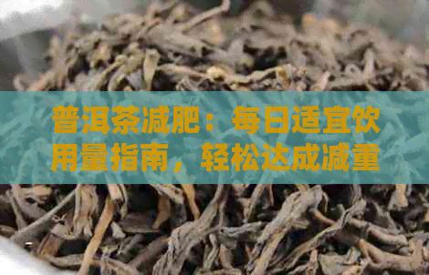 普洱茶减肥：每日适宜饮用量指南，轻松达成减重目标