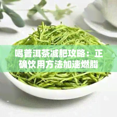 喝普洱茶减肥攻略：正确饮用方法加速燃脂