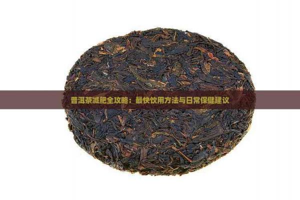 普洱茶减肥全攻略：最快饮用方法与日常保健建议