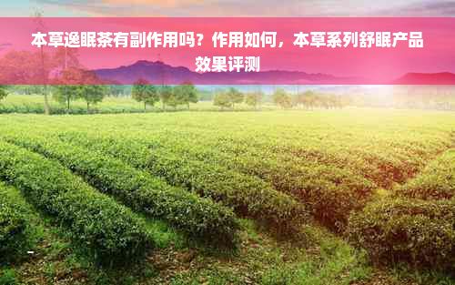 本草逸眠茶有副作用吗？作用如何，本草系列舒眠产品效果评测